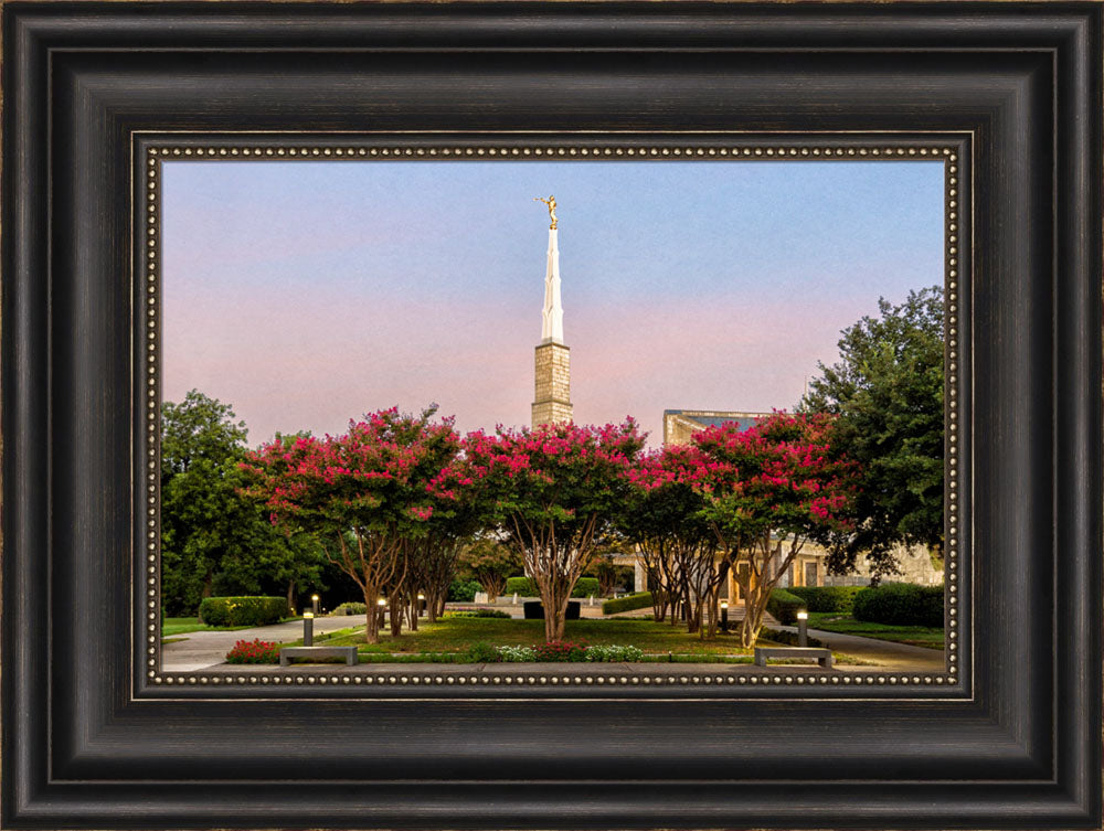 Dallas Temple - Flowering Trees