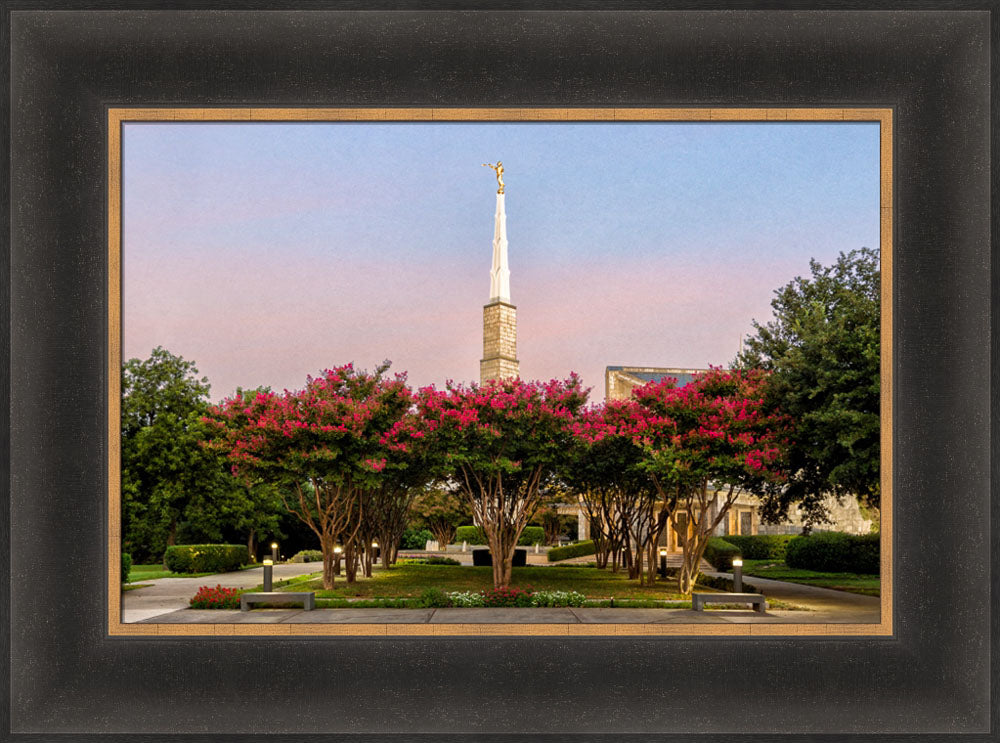 Dallas Temple - Flowering Trees by Robert A Boyd