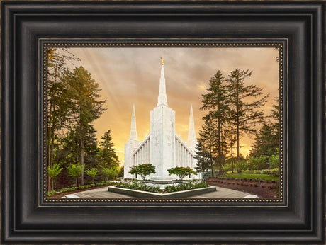 Portland Temple - Evening Glow