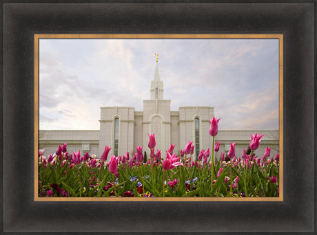 Bountiful Temple - Tulips by Robert A Boyd