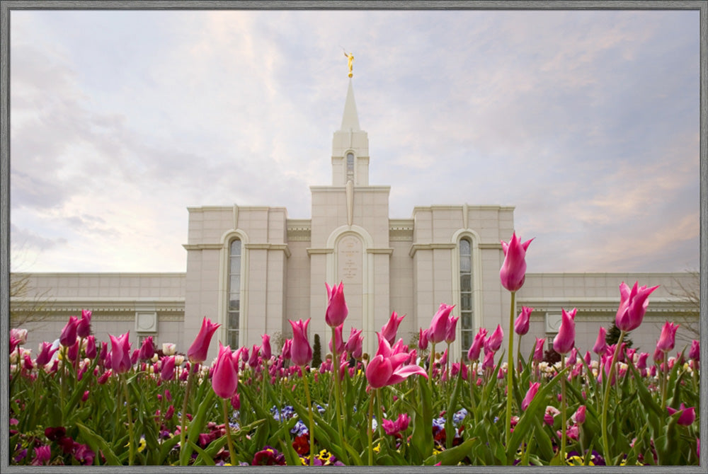 Bountiful Temple - Tulips by Robert A Boyd