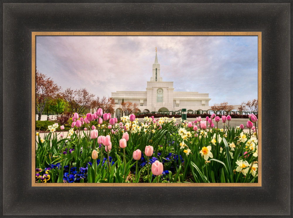 Bountiful Temple - Pink and Yellow Tulips by Robert A Boyd