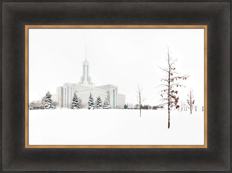 Mt Timpanogos Temple - Snow Red Leaves by Robert A Boyd