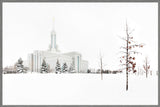 Mt Timpanogos Temple - Snow Red Leaves by Robert A Boyd