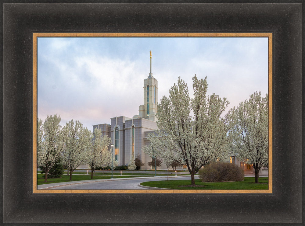 Mt Timpanogos Temple - Spring Blossoms by Robert A Boyd