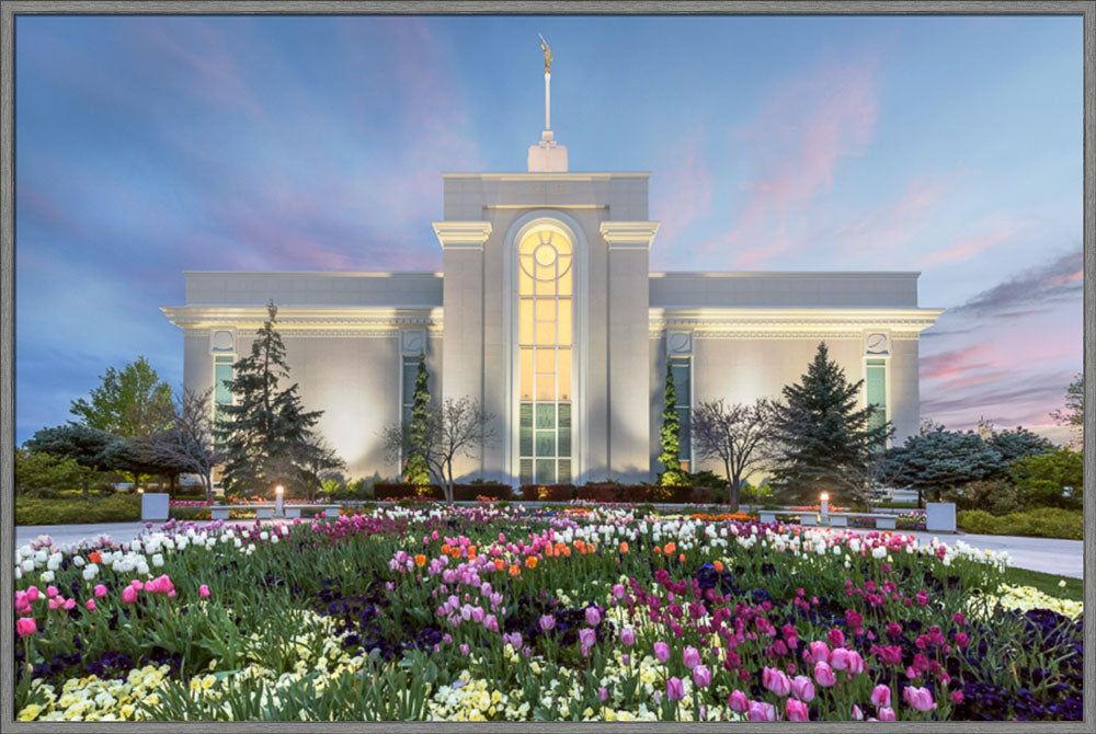 Mt Timpanogos Temple - First Blossom by Robert A Boyd