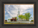 St Louis Temple - Summer Trees by Robert A Boyd