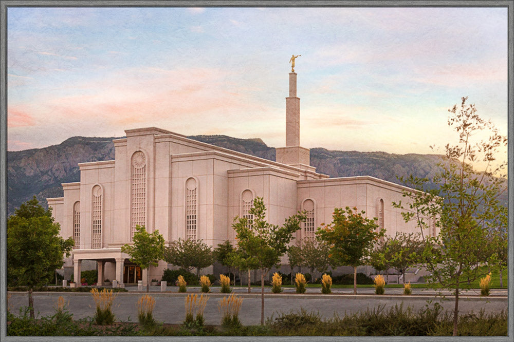 Albuquerque Temple - Holy Places Series by Robert A Boyd