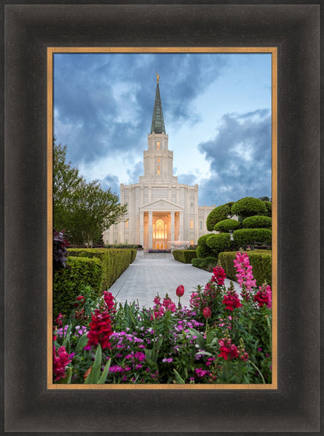 Houston Temple - Spring Tulips by Robert A Boyd