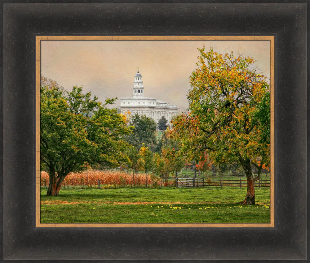 Nauvoo Temple - Apple Tree by Robert A Boyd