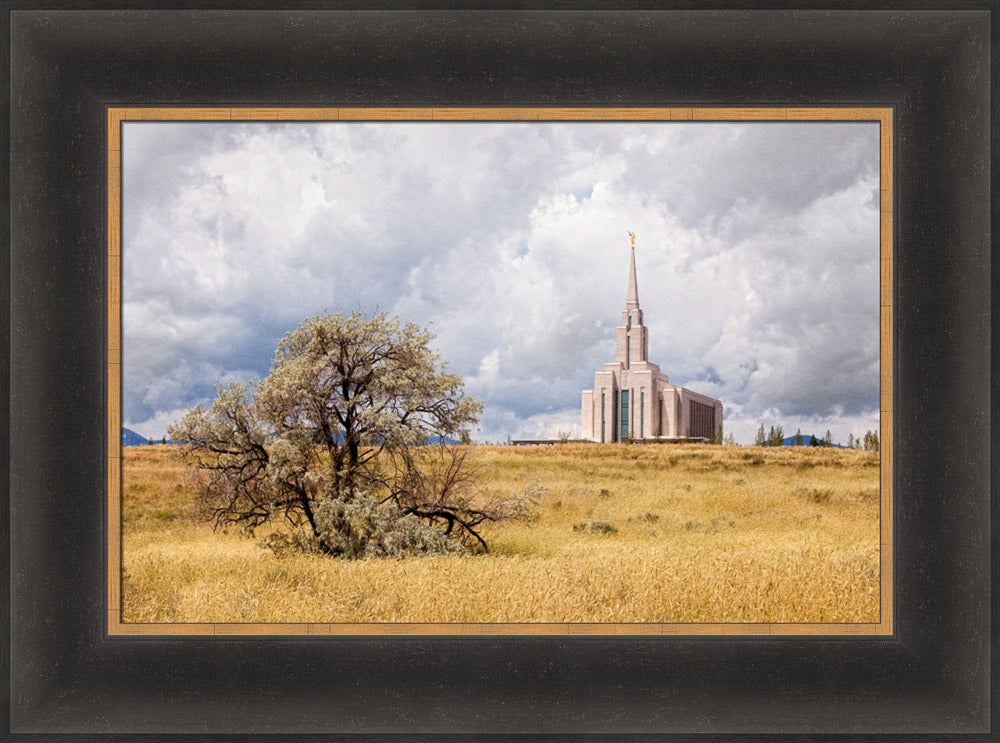 Oquirrh Mountain Temple - Tree and Field by Robert A Boyd
