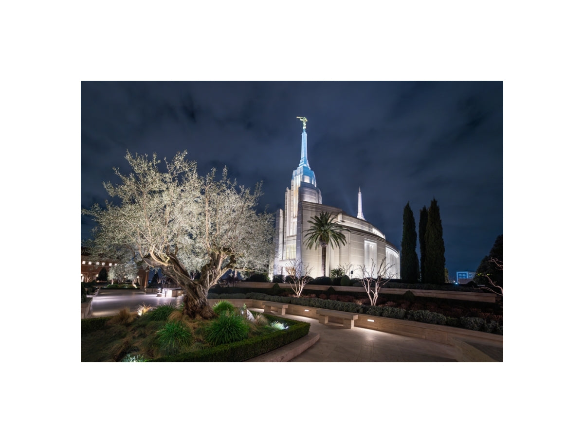Rome Temple - Tree of Life