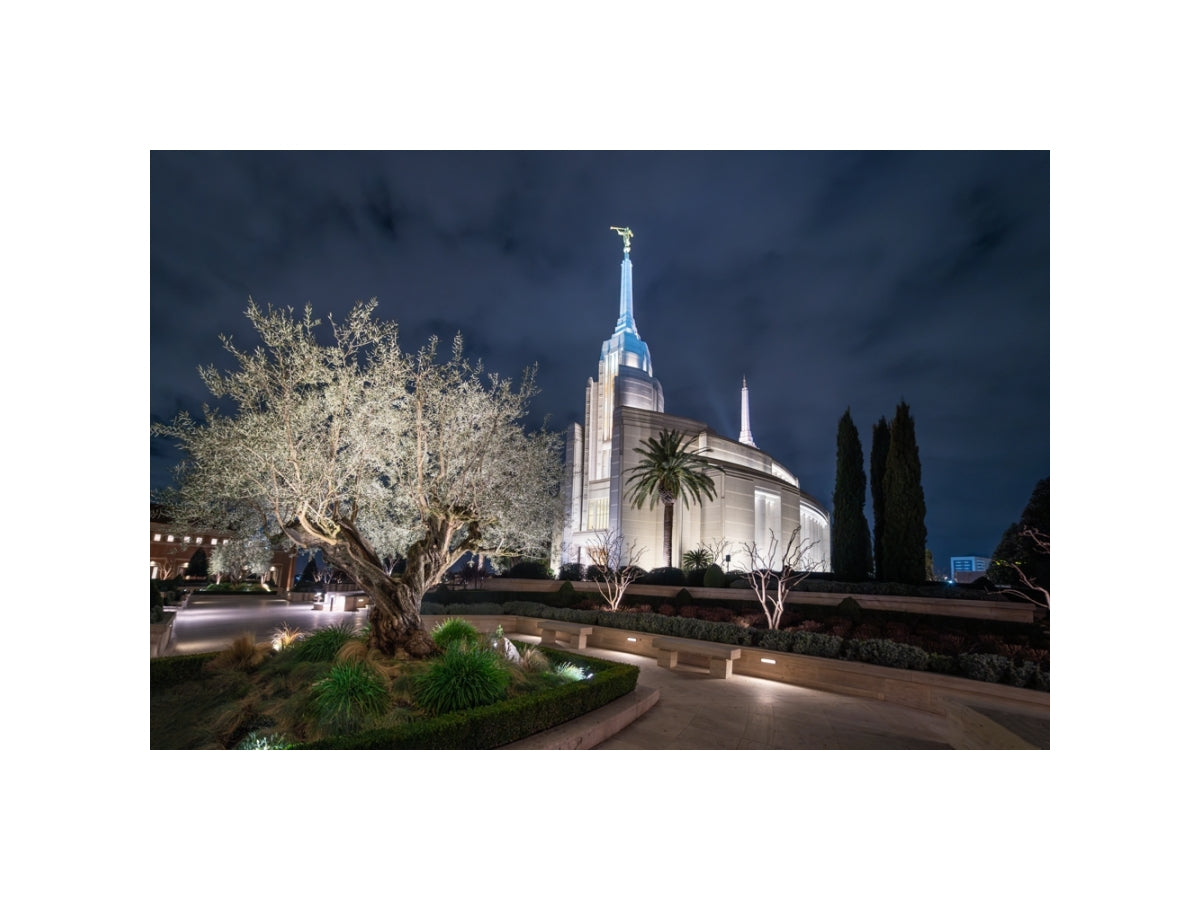 Rome Temple - Tree of Life