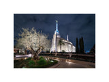 Rome Temple - Tree of Life