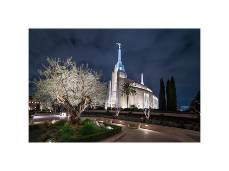 Rome Temple - Tree of Life