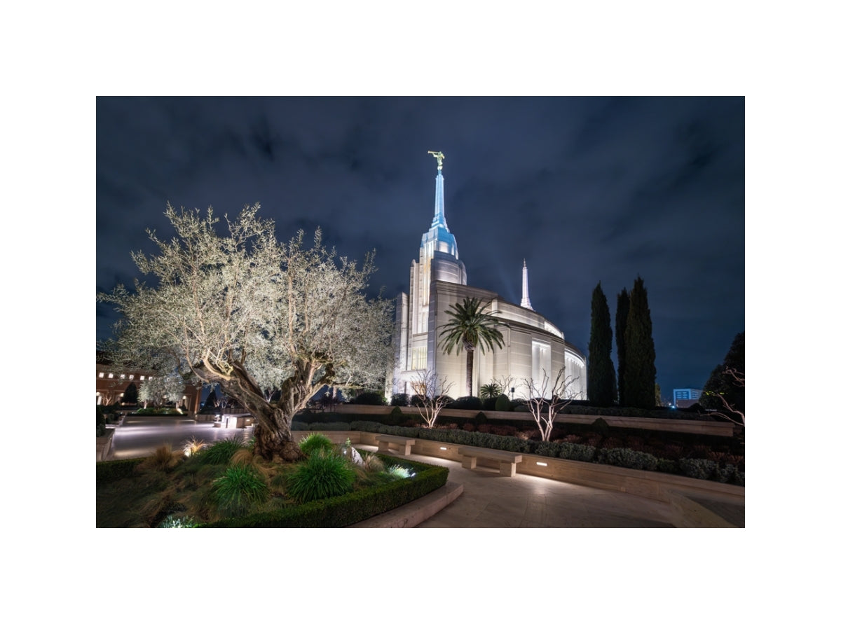 Rome Temple - Tree of Life