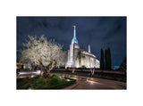 Rome Temple - Tree of Life