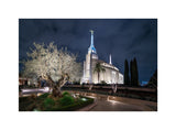 Rome Temple - Tree of Life