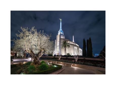 Rome Temple - Tree of Life