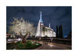 Rome Temple - Tree of Life