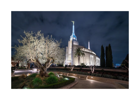 Rome Temple - Tree of Life