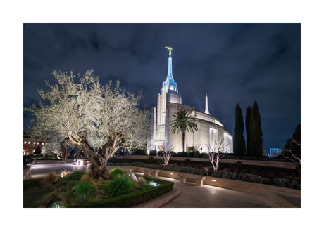 Rome Temple - Tree of Life