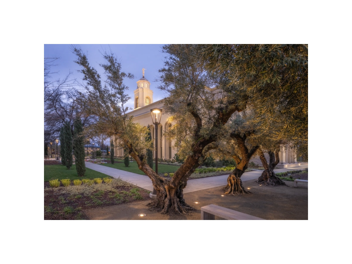 Feather River Temple - Evening Glow