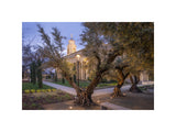 Feather River Temple - Evening Glow