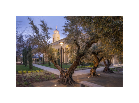 Feather River Temple - Evening Glow