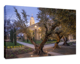 Feather River Temple - Evening Glow