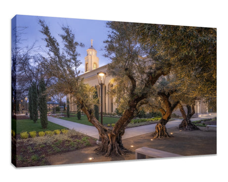 Feather River Temple - Evening Glow
