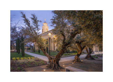 Feather River Temple - Evening Glow