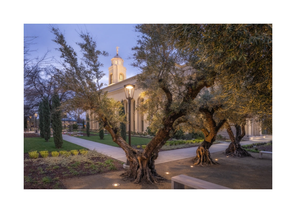 Feather River Temple - Evening Glow