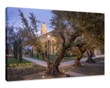 Feather River Temple - Evening Glow