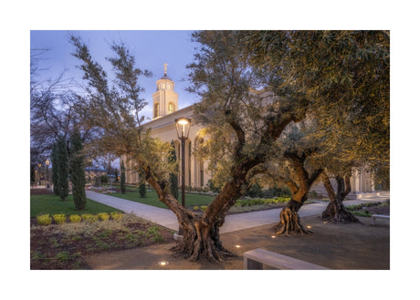 Feather River Temple - Evening Glow