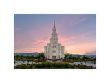 Layton Temple - Morning Light