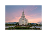 Layton Temple - Morning Light