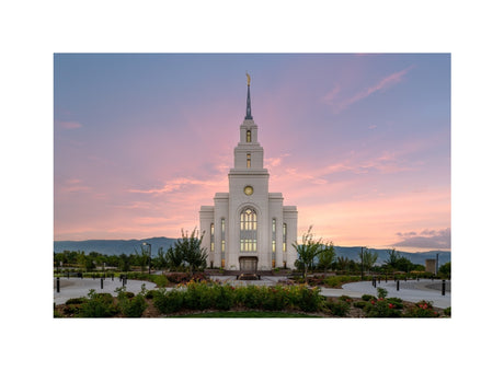 Layton Temple - Morning Light