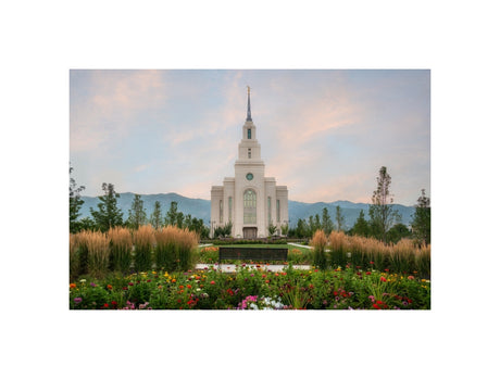Layton Temple - Flowers