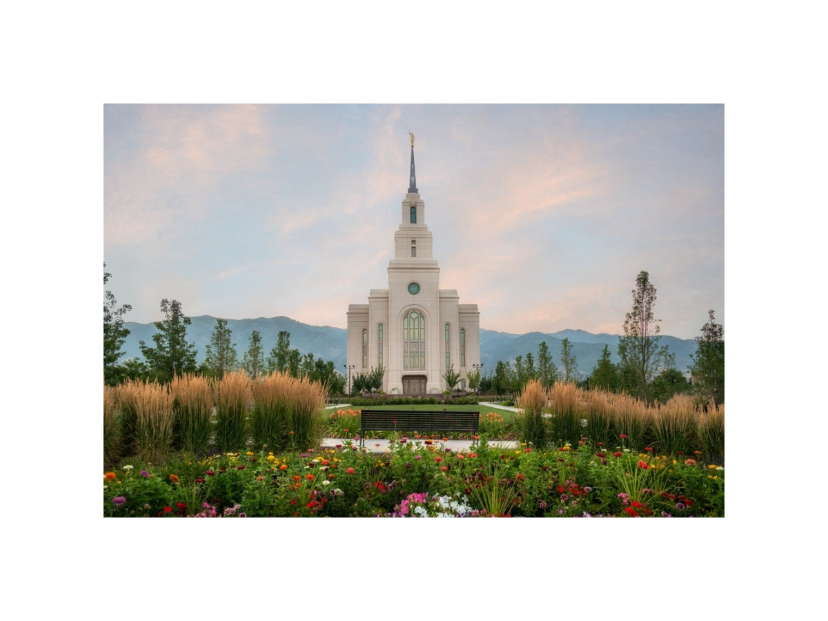 Layton Temple - Flowers