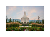 Layton Temple - Flowers
