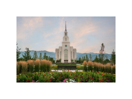 Layton Temple - Flowers