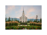 Layton Temple - Flowers