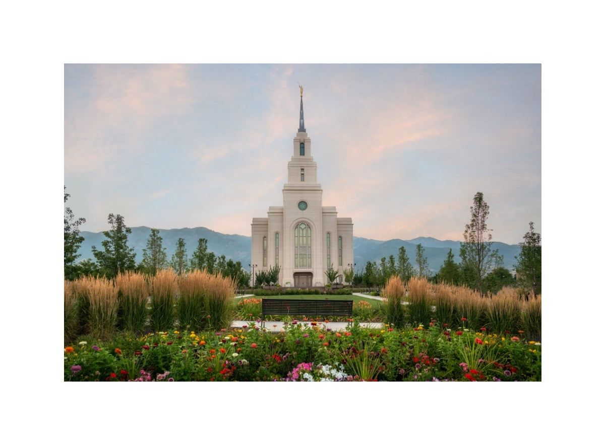 Layton Temple - Flowers