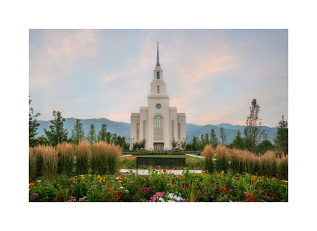 Layton Temple - Flowers