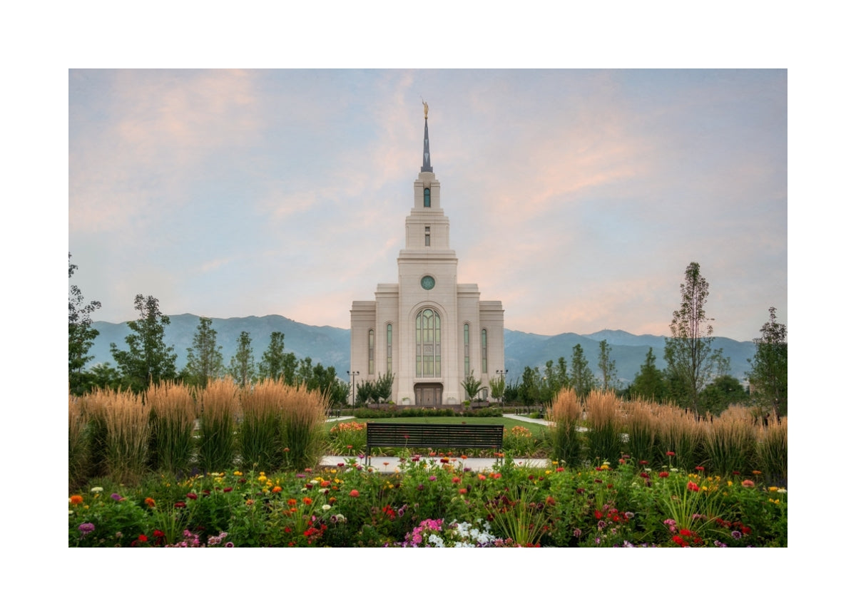 Layton Temple - Flowers