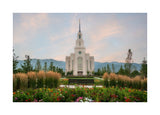 Layton Temple - Flowers