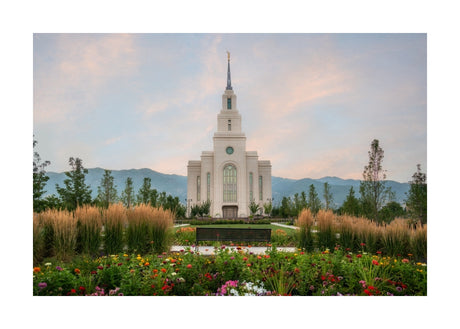 Layton Temple - Flowers