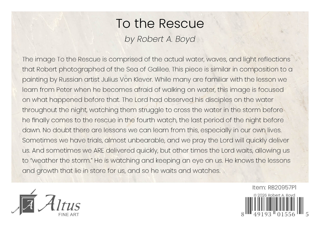 To the Rescue
