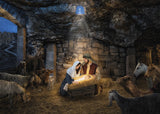 Nativity